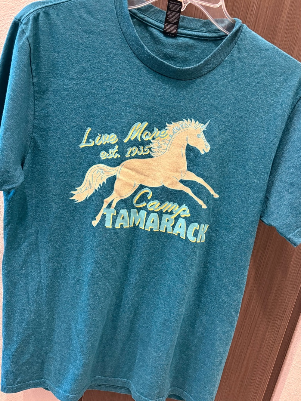 Camp Tamarack Teal Graphic Tee with Yellow Unicorn